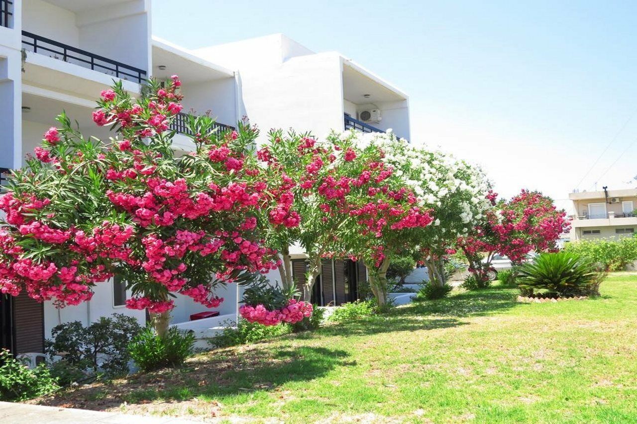 Debby Apartments Ialysos  Extérieur photo